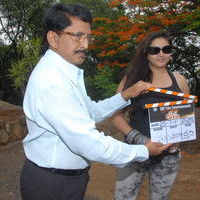 Namitha's Sukra movie opening stills | Picture 50135